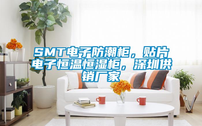 SMT電子防潮柜，貼片電子恒溫恒濕柜，深圳供銷廠家