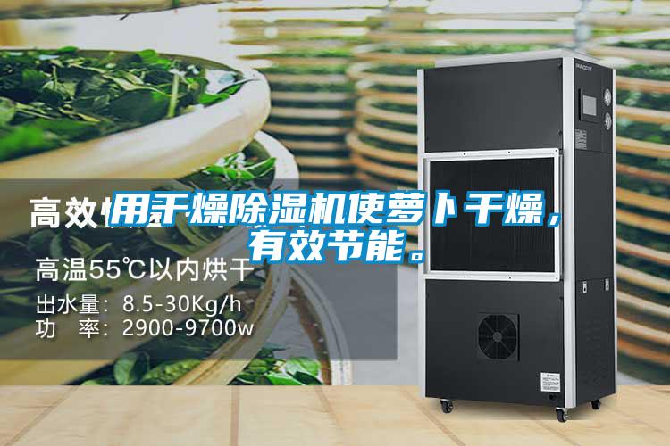 用干燥除濕機使蘿卜干燥,有效節能。