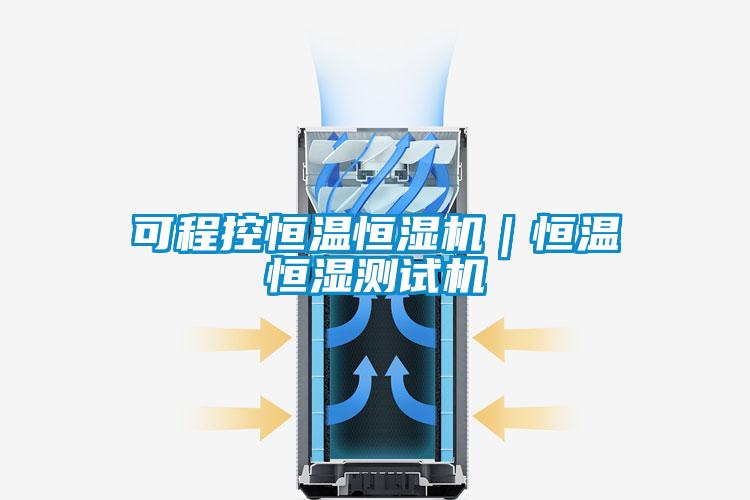可程控恒溫恒濕機(jī)|恒溫恒濕測試機(jī)