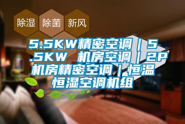 5.5KW精密空調|5.5KW 機房空調|2P機房精密空調|恒溫恒濕空調機組