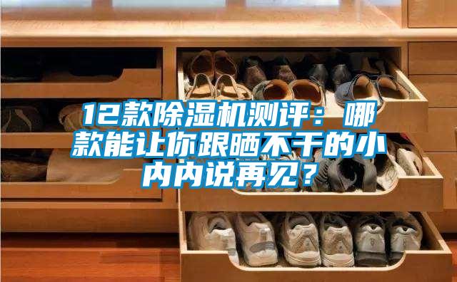 12款除濕機測評:哪款能讓你跟曬不干的小內(nèi)內(nèi)說再見?