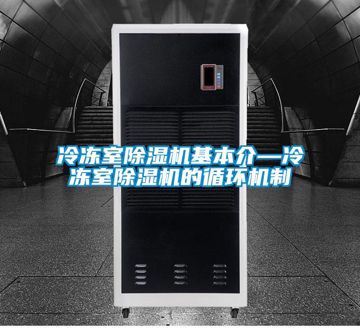 冷凍室除濕機基本介—冷凍室除濕機的循環機制