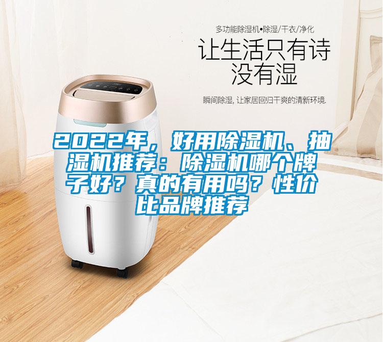 2022年,好用除濕機、抽濕機推薦:除濕機哪個牌子好?真的有用嗎?性價比品牌推薦