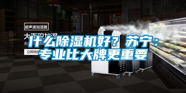 什么除濕機好？蘇寧：專業比大牌更重要