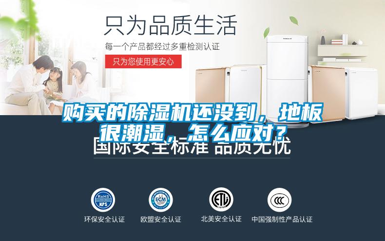 購買的除濕機還沒到，地板很潮濕，怎么應對？