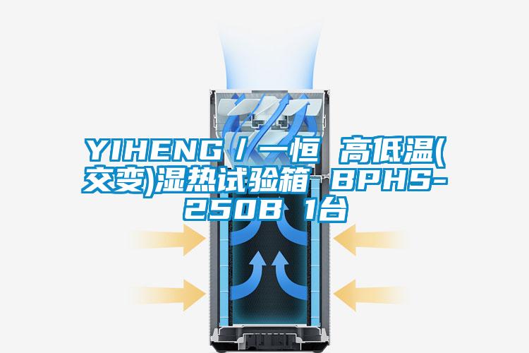 YIHENG/一恒 高低溫(交變)濕熱試驗箱 BPHS-250B 1臺