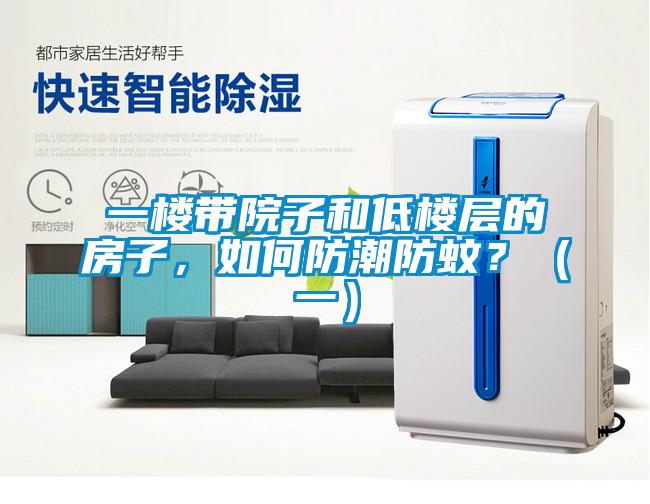 一樓帶院子和低樓層的房子，如何防潮防蚊？（一）
