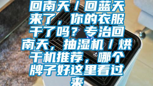 回南天／回藍(lán)天來了，你的衣服干了嗎？專治回南天，抽濕機(jī)／烘干機(jī)推薦，哪個(gè)牌子好這里看過來