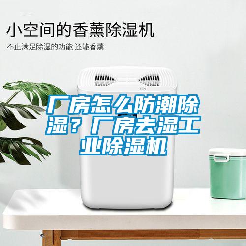 廠房怎么防潮除濕?廠房去濕工業(yè)除濕機(jī)