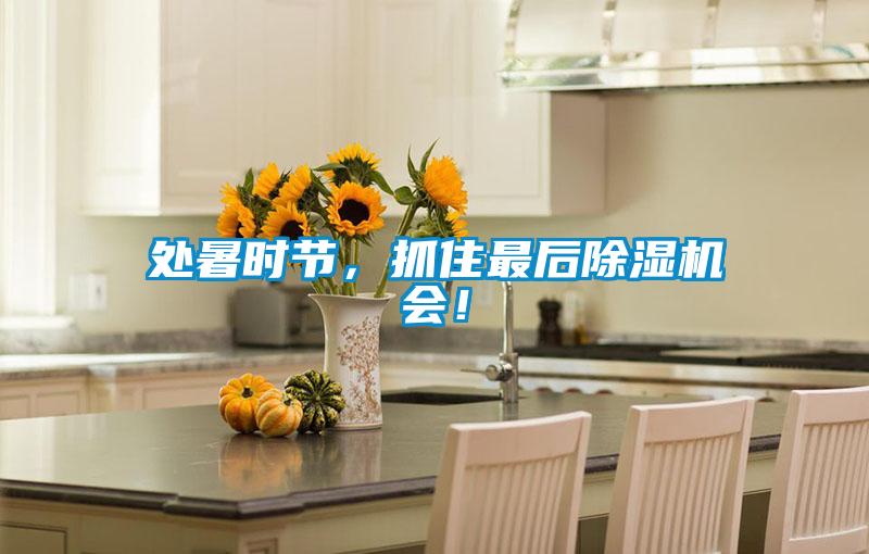 處暑時節(jié)，抓住最后除濕機會！