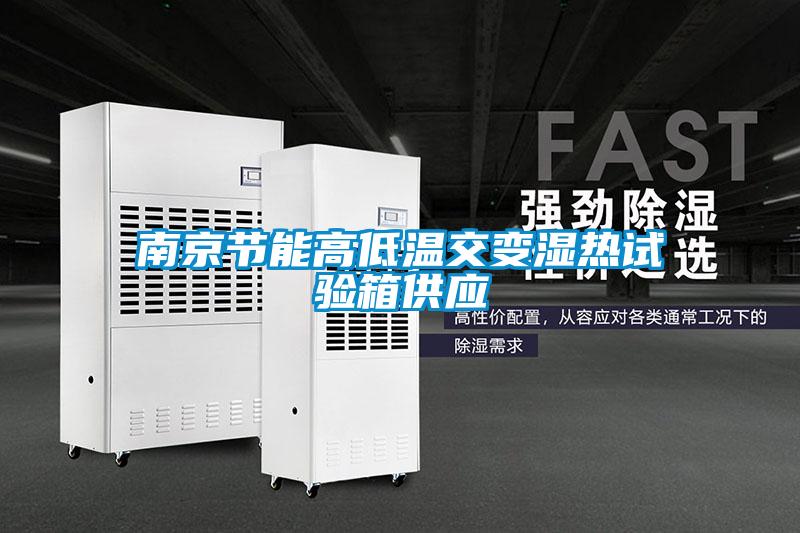 南京節(jié)能高低溫交變濕熱試驗箱供應