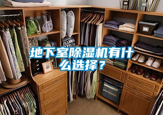 地下室除濕機(jī)有什么選擇？