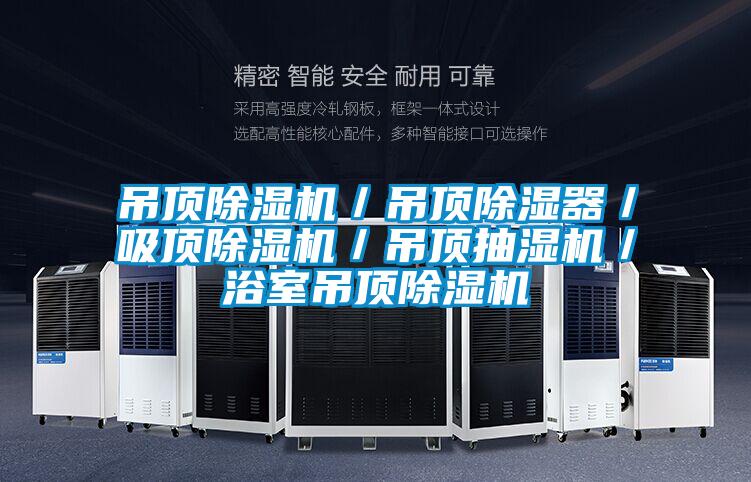 吊頂除濕機/吊頂除濕器/吸頂除濕機/吊頂抽濕機/浴室吊頂除濕機