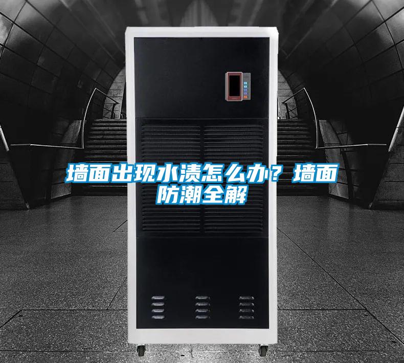 墻面出現水漬怎么辦?墻面防潮全解