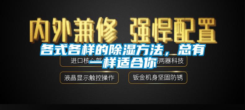 各式各樣的除濕方法,總有一樣適合你