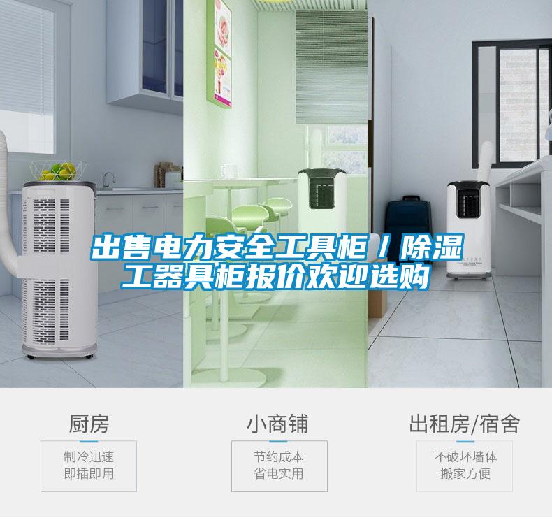 出售電力安全工具柜/除濕工器具柜報(bào)價(jià)歡迎選購(gòu)