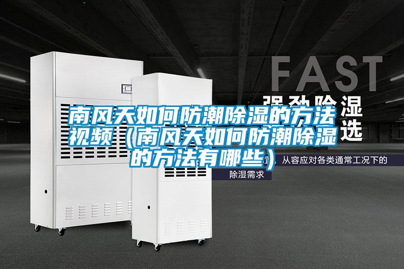 南風天如何防潮除濕的方法視頻(南風天如何防潮除濕的方法有哪些)