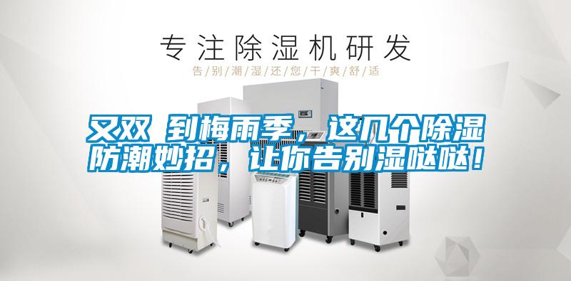 又雙叒到梅雨季,這幾個除濕防潮妙招,讓你告別濕噠噠!