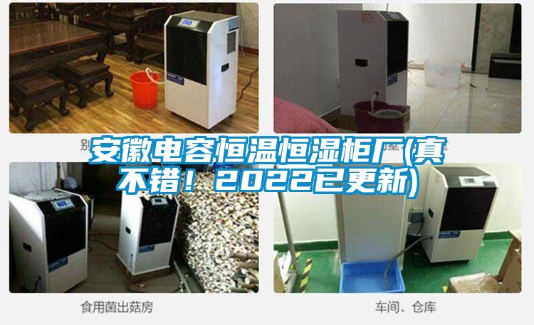 安徽電容恒溫恒濕柜廠(真不錯！2022已更新)