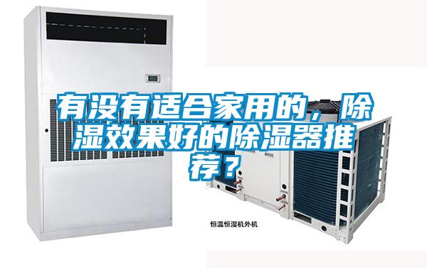 有沒有適合家用的，除濕效果好的除濕器推薦？