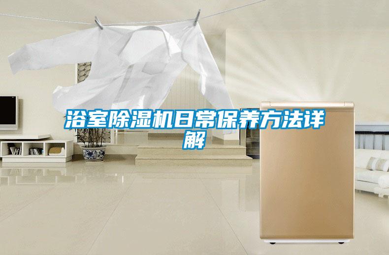 浴室除濕機日常保養方法詳解