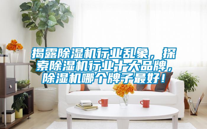 揭露除濕機(jī)行業(yè)亂象,探索除濕機(jī)行業(yè)十大品牌,除濕機(jī)哪個(gè)牌子最好!