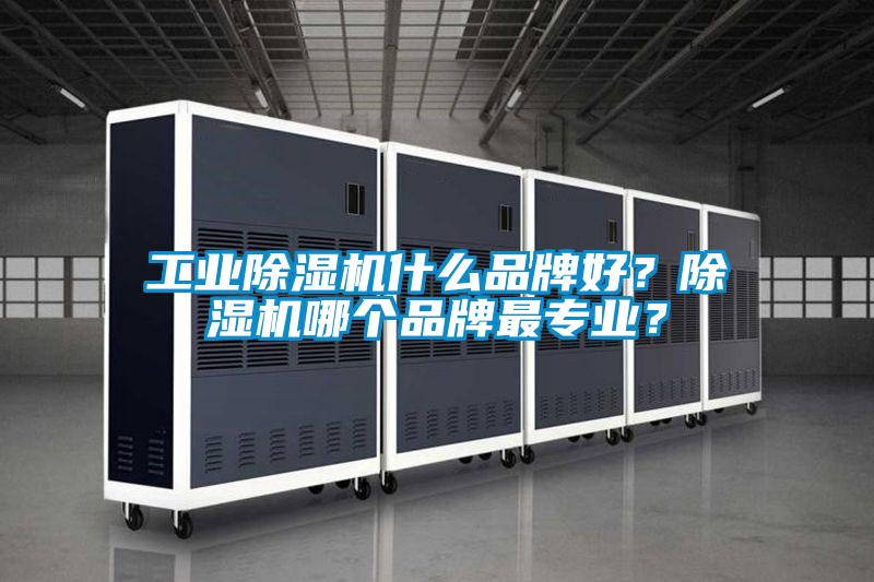 工業(yè)除濕機(jī)什么品牌好?除濕機(jī)哪個品牌最專業(yè)?