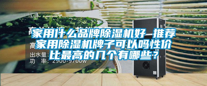 家用什么品牌除濕機好 推薦家用除濕機牌子可以嗎性價比最高的幾個有哪些?