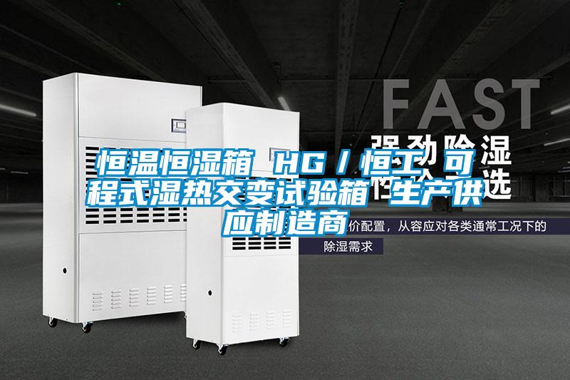 恒溫恒濕箱 HG/恒工 可程式濕熱交變試驗箱 生產(chǎn)供應(yīng)制造商