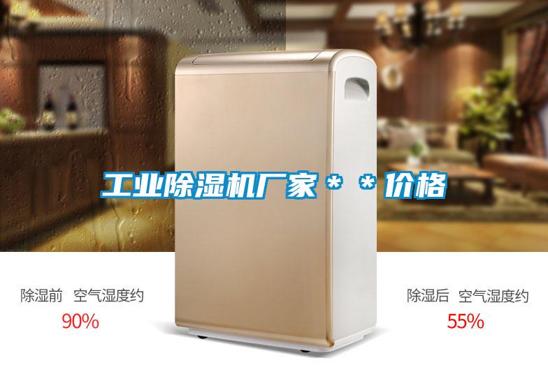 工業除濕機廠家**價格