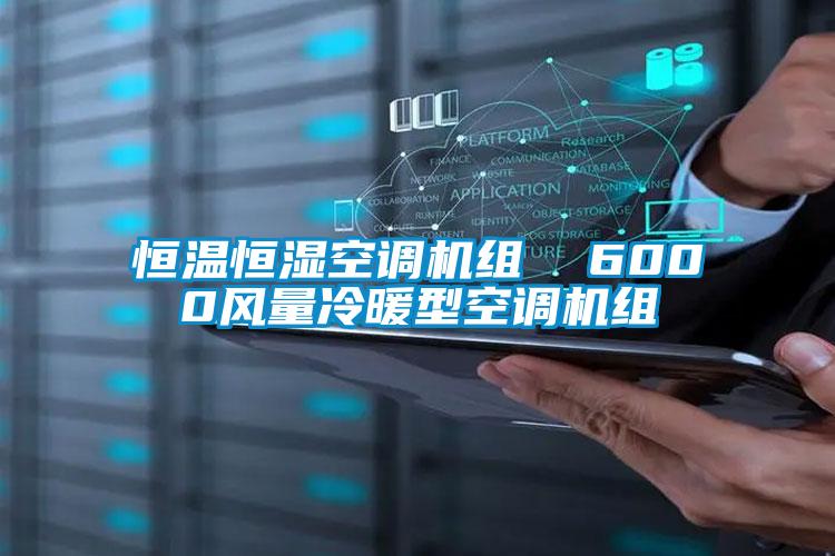 恒溫恒濕空調機組 6000風量冷暖型空調機組