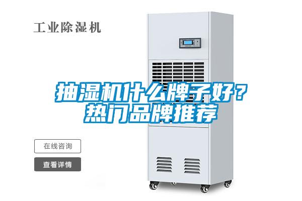 抽濕機什么牌子好？熱門品牌推薦