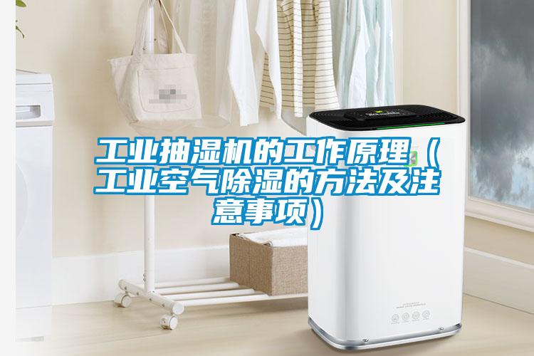 工業抽濕機的工作原理(工業空氣除濕的方法及注意事項)