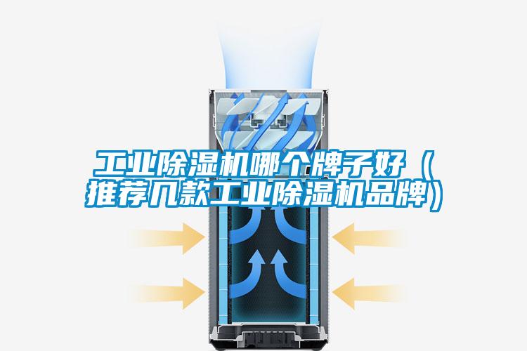 工業除濕機哪個牌子好(推薦幾款工業除濕機品牌)