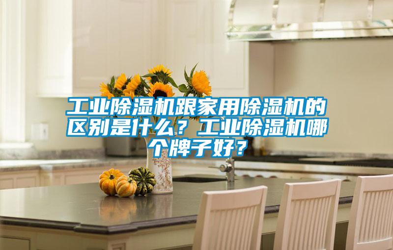 工業(yè)除濕機(jī)跟家用除濕機(jī)的區(qū)別是什么？工業(yè)除濕機(jī)哪個(gè)牌子好？