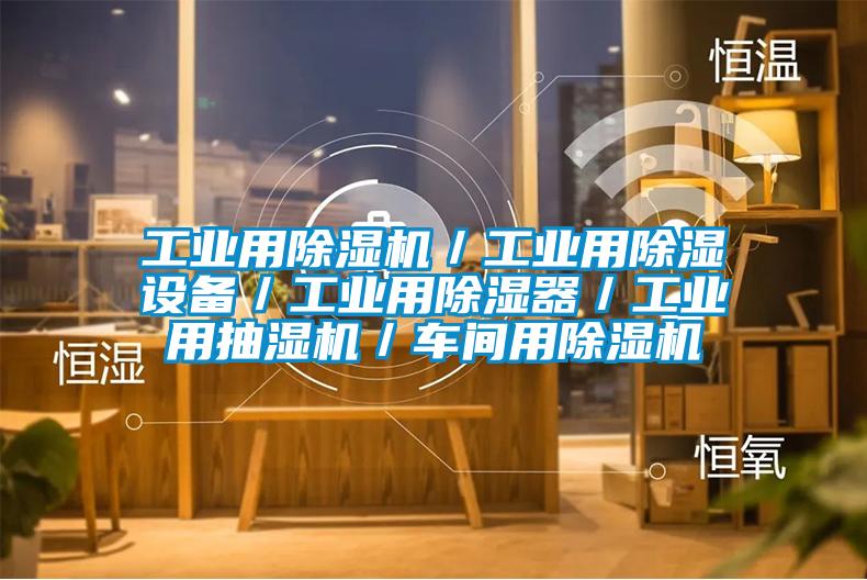 工業用除濕機/工業用除濕設備/工業用除濕器/工業用抽濕機/車間用除濕機