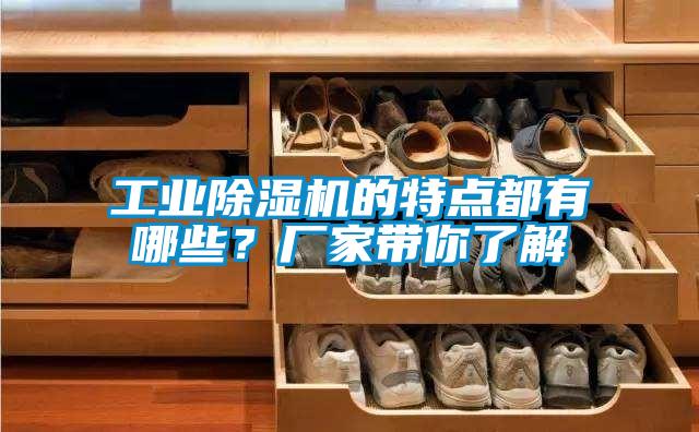 工業除濕機的特點都有哪些？廠家帶你了解