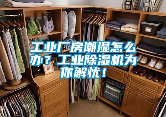 工業廠房潮濕怎么辦？工業除濕機為你解憂！