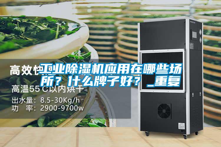 工業除濕機應用在哪些場所？什么牌子好？_重復