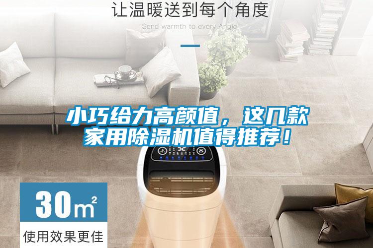 小巧給力高顏值,這幾款家用除濕機值得推薦!