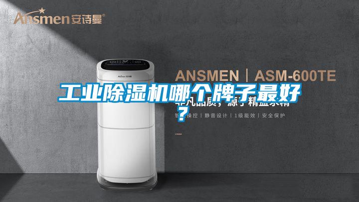 工業除濕機哪個牌子最好?