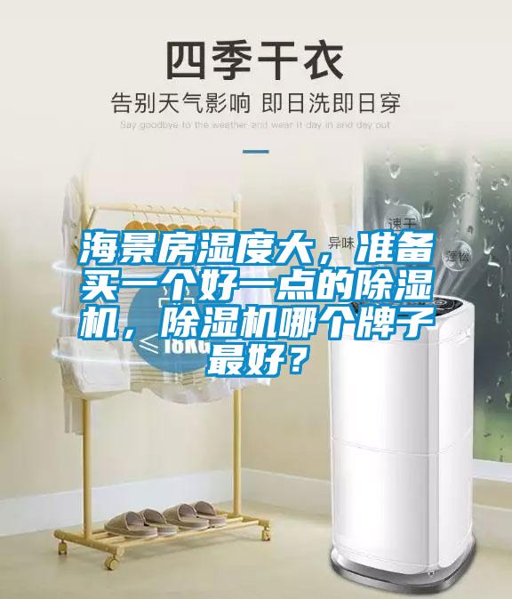 海景房濕度大,準(zhǔn)備買一個(gè)好一點(diǎn)的除濕機(jī),除濕機(jī)哪個(gè)牌子最好?