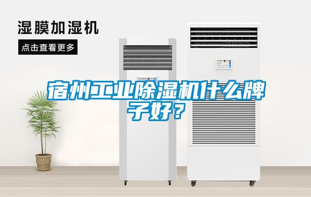 宿州工業除濕機什么牌子好？