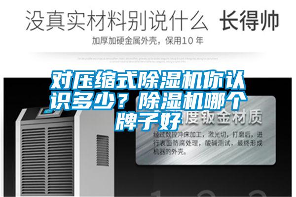 對壓縮式除濕機你認識多少？除濕機哪個牌子好