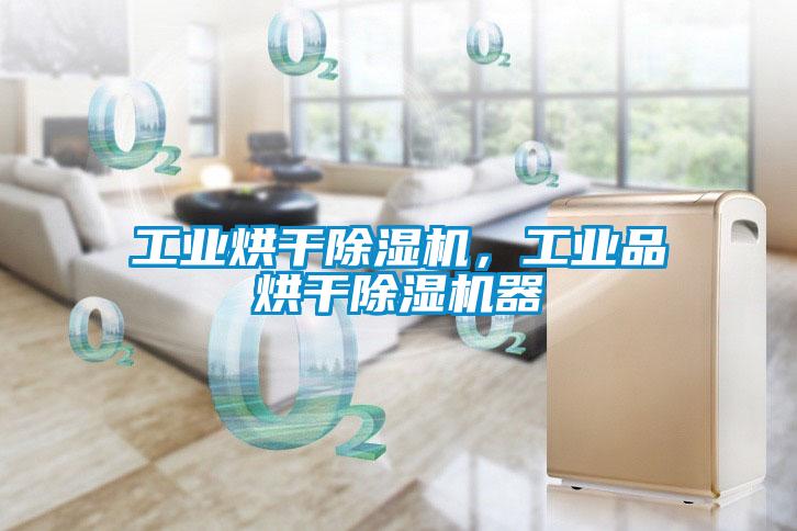 工業(yè)烘干除濕機(jī),工業(yè)品烘干除濕機(jī)器