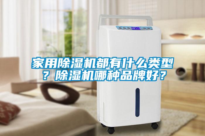 家用除濕機(jī)都有什么類型？除濕機(jī)哪種品牌好？