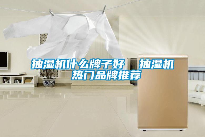 抽濕機(jī)什么牌子好 抽濕機(jī) 熱門品牌推薦