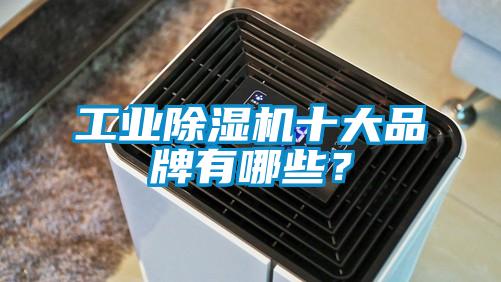 工業除濕機十大品牌有哪些？