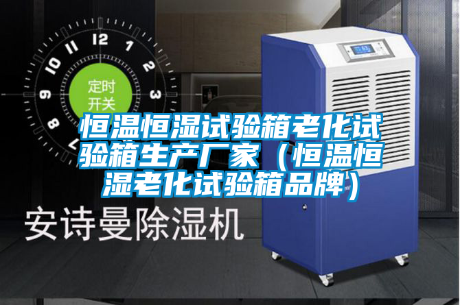 恒溫恒濕試驗箱老化試驗箱生產廠家(恒溫恒濕老化試驗箱品牌)