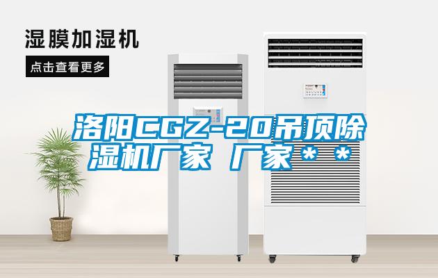 洛陽CGZ-20吊頂除濕機廠家 廠家**